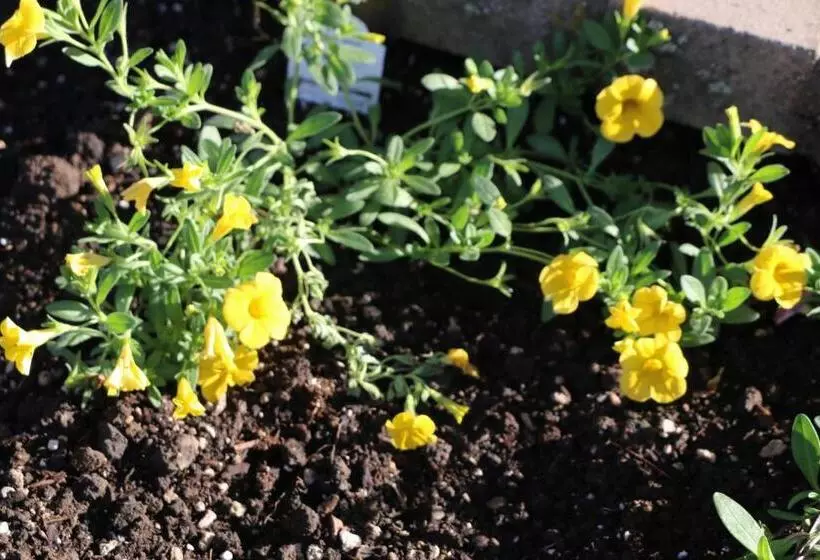 Мотель Rice Hill Inn