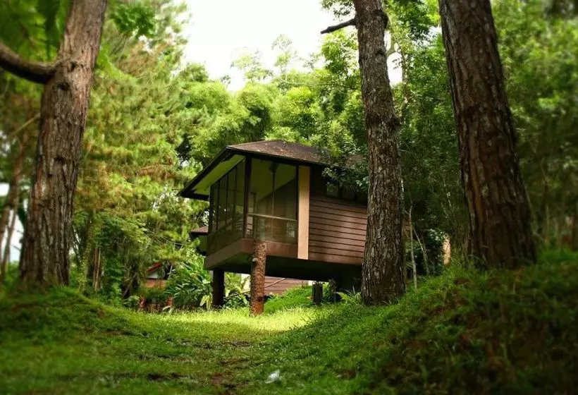 Eden Nature Park And Resort