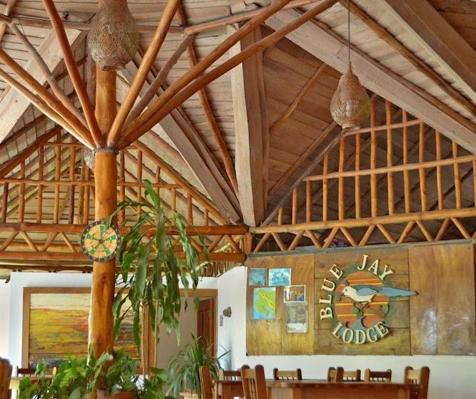 酒店 Blue Jay Lodge Costa Rica