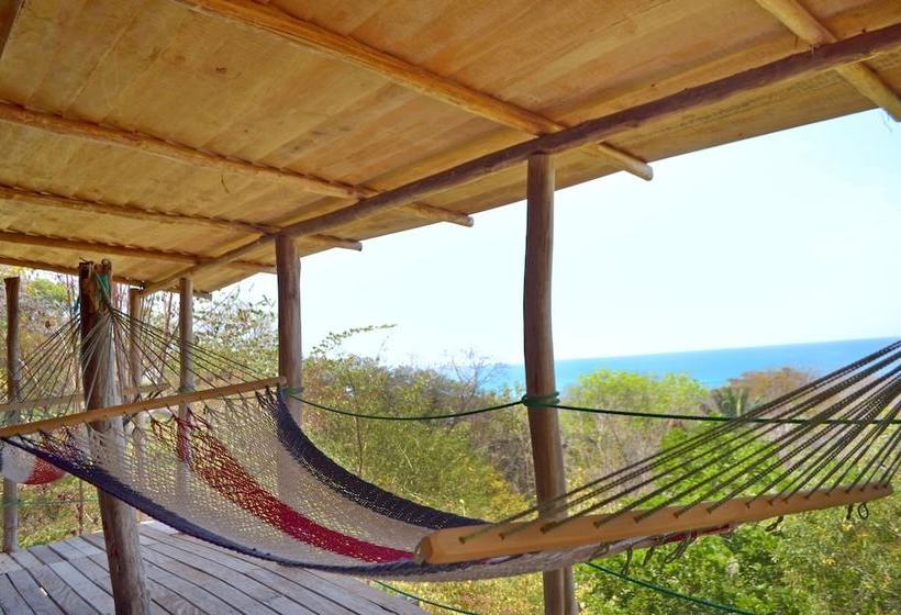 酒店 Blue Jay Lodge Costa Rica