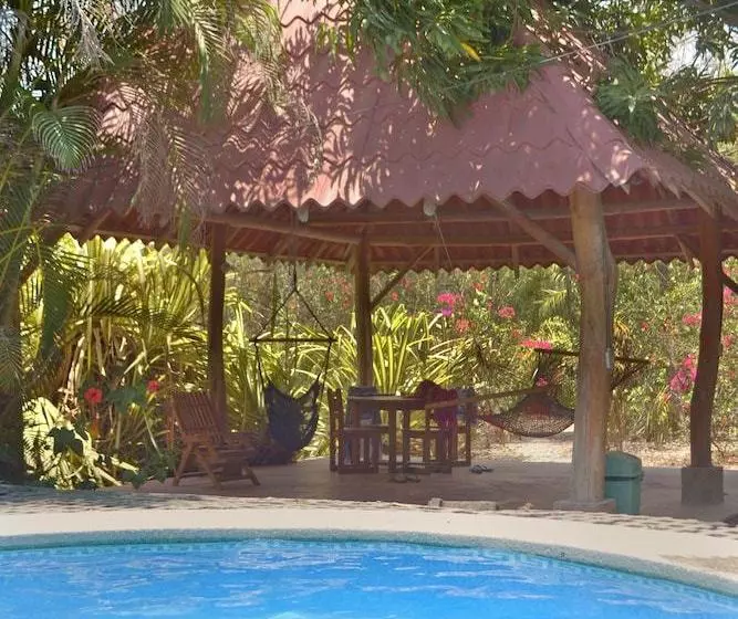 Hotelli Blue Jay Lodge Costa Rica