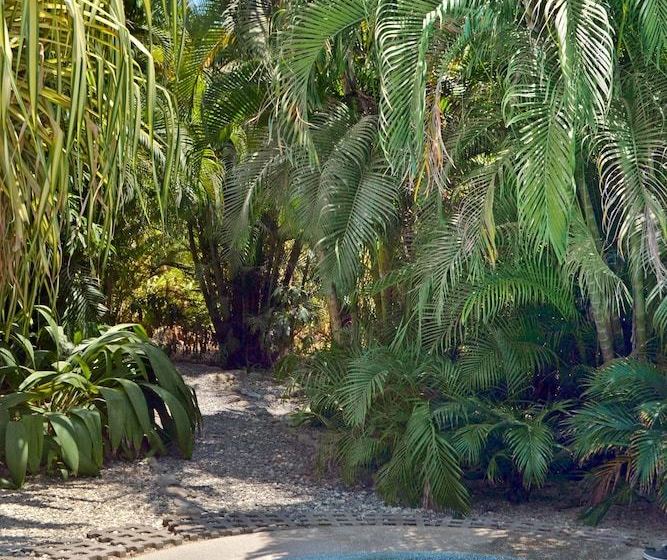 酒店 Blue Jay Lodge Costa Rica