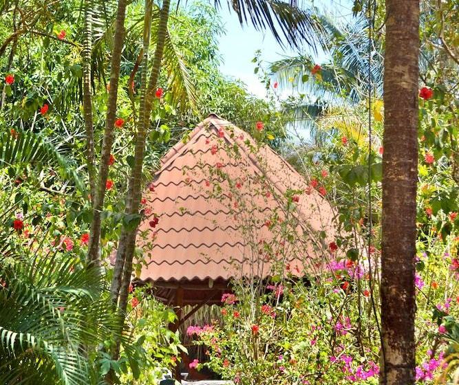 酒店 Blue Jay Lodge Costa Rica