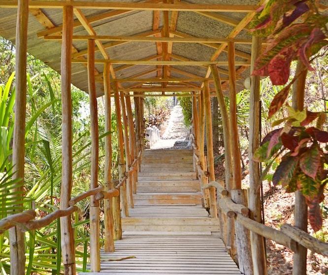 酒店 Blue Jay Lodge Costa Rica