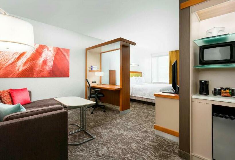 فندق Springhill Suites By Marriott San Diego Mission Valley