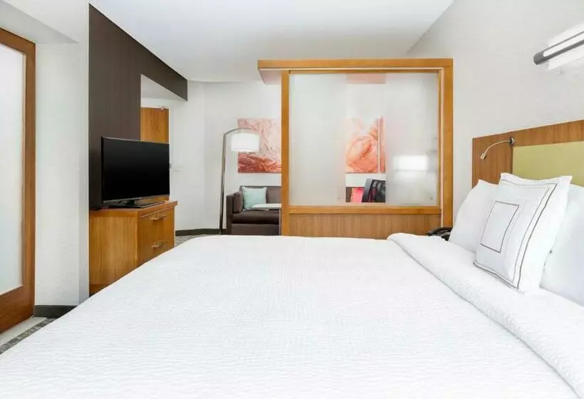 酒店 Springhill Suites By Marriott San Diego Mission Valley