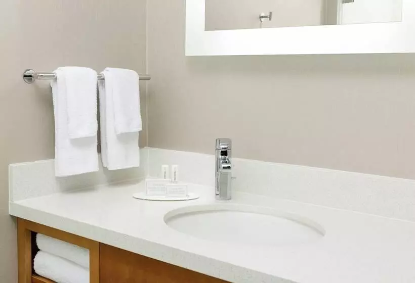 酒店 Springhill Suites By Marriott San Diego Mission Valley