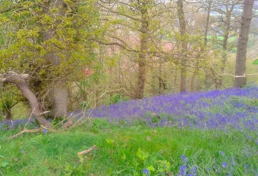 Nocleg ze śniadaniem Mortimer Trail B And B