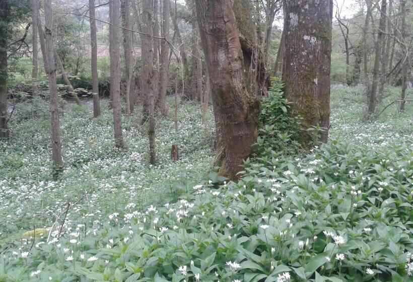 住宿加早餐  Mortimer Trail B And B