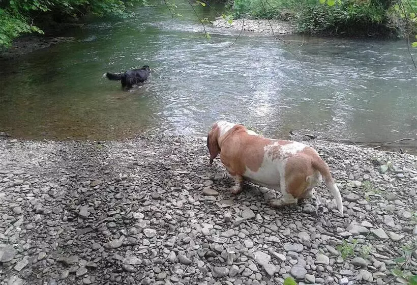 Nocleg ze śniadaniem Mortimer Trail B And B