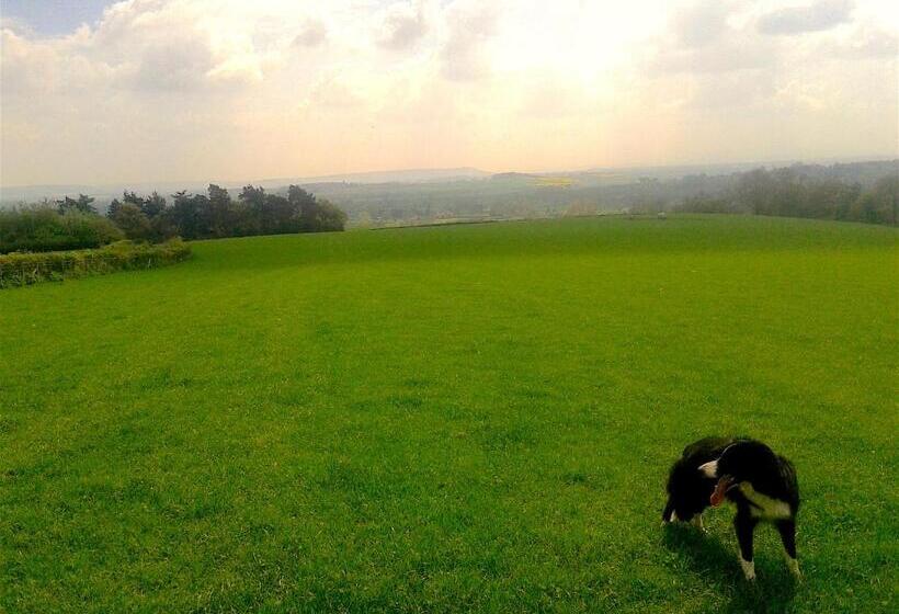 住宿加早餐  Mortimer Trail B And B