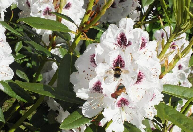 住宿加早餐  Mortimer Trail B And B