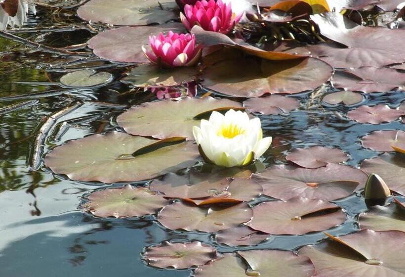 住宿加早餐  Mortimer Trail B And B