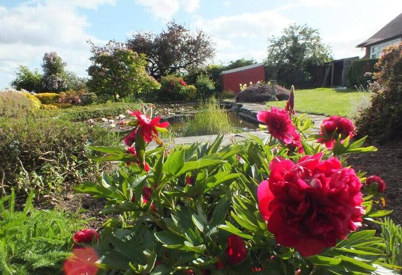 住宿加早餐  Mortimer Trail B And B