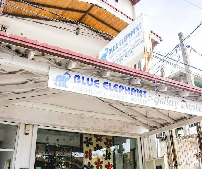 Panzió Blue Elephant Guest House