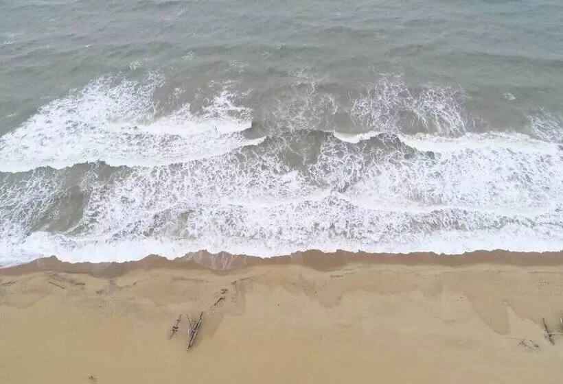 Panzió Blue Elephant Guest House