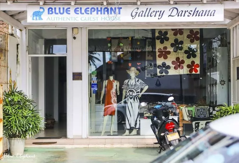 Panzió Blue Elephant Guest House