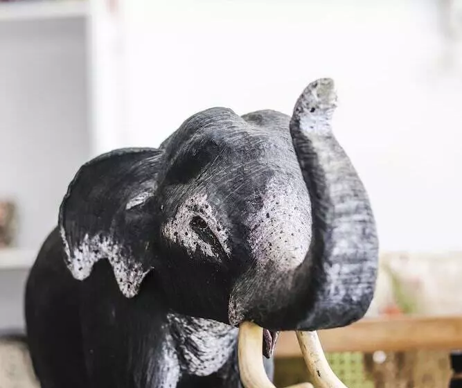 Panzió Blue Elephant Guest House