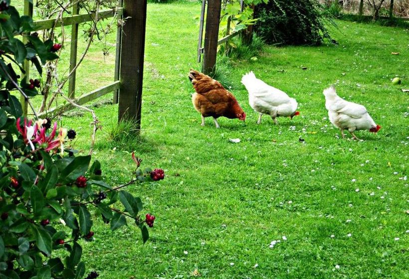 Reservoir View Motel