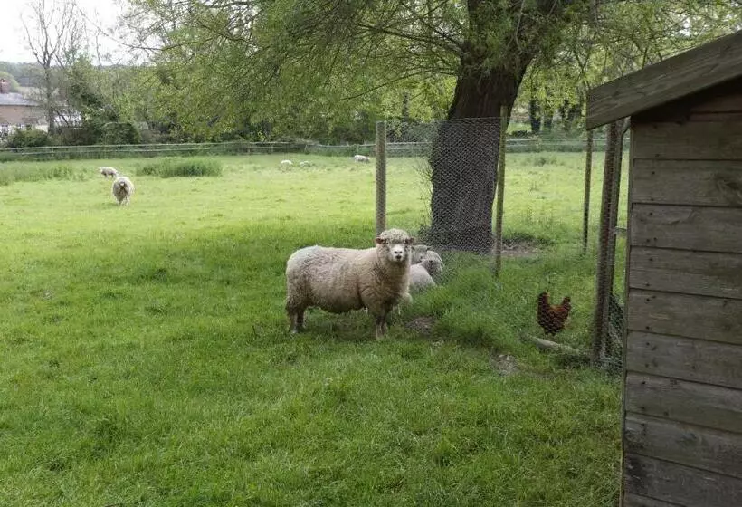 The Old Mill Bed And Breakfast