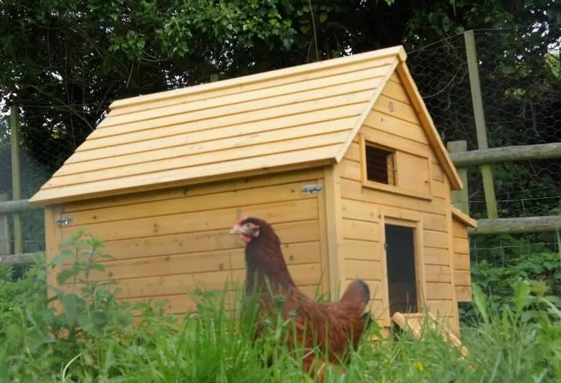 The Old Mill Bed And Breakfast