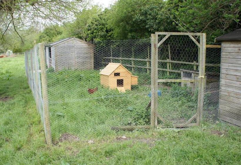 The Old Mill Bed And Breakfast