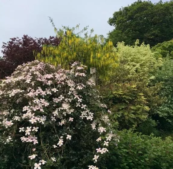 צימר Tubbs Mill House