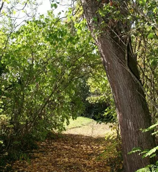 Bed and Breakfast Manoir De La Manantie   Teritoria