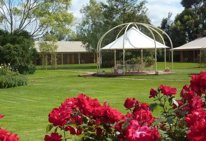 Coonawarra Place Motor Inn