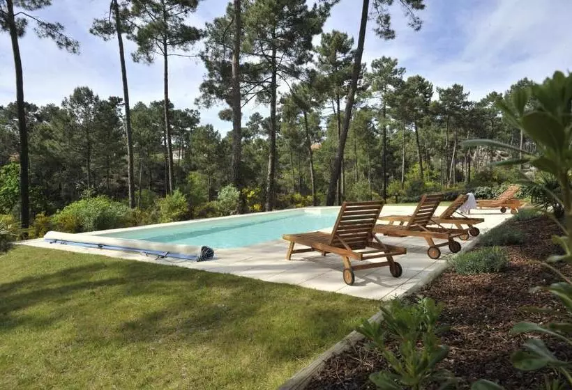 Lagrange Vacances Atlantic Green