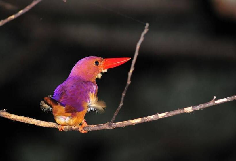 ホテル Big Marine Amami