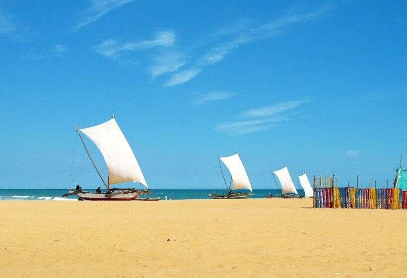 בית מלון כפרי C Negombo