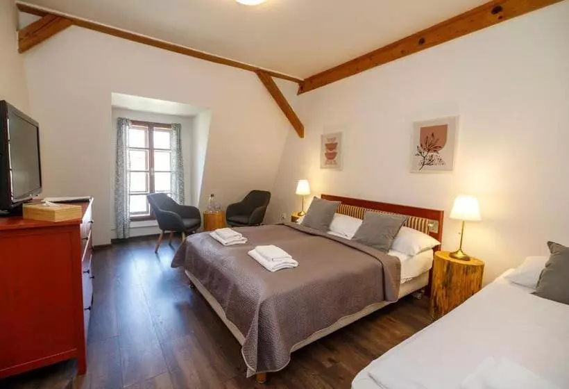 هتل Dvůr Pecínov