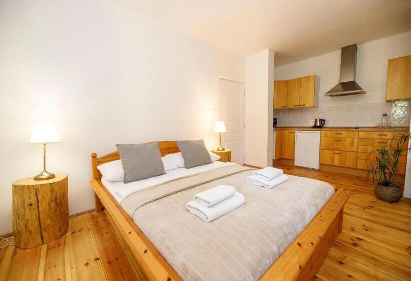 호텔 Dvůr Pecínov