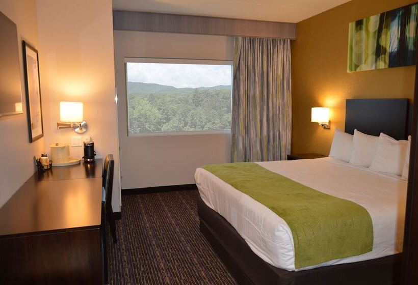 בית מלון כפרי Harrah S Cherokee Valley River Casino &