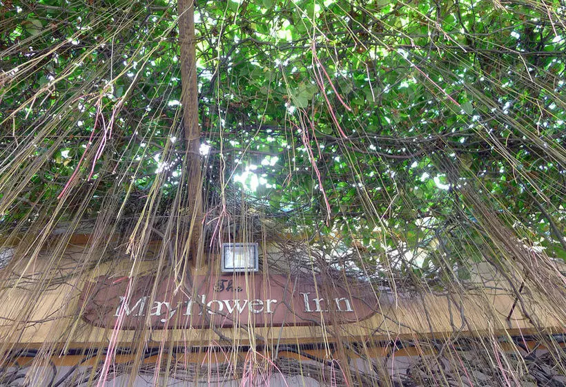 Szálloda The Mayflower Inn