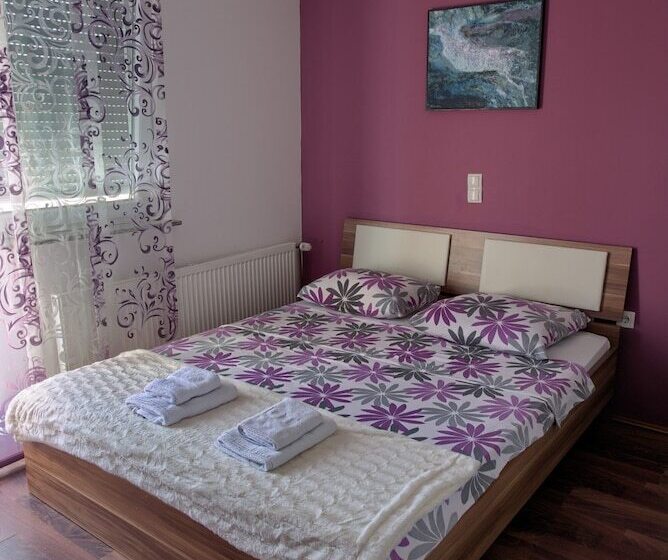 פנסיון Biser Dunava