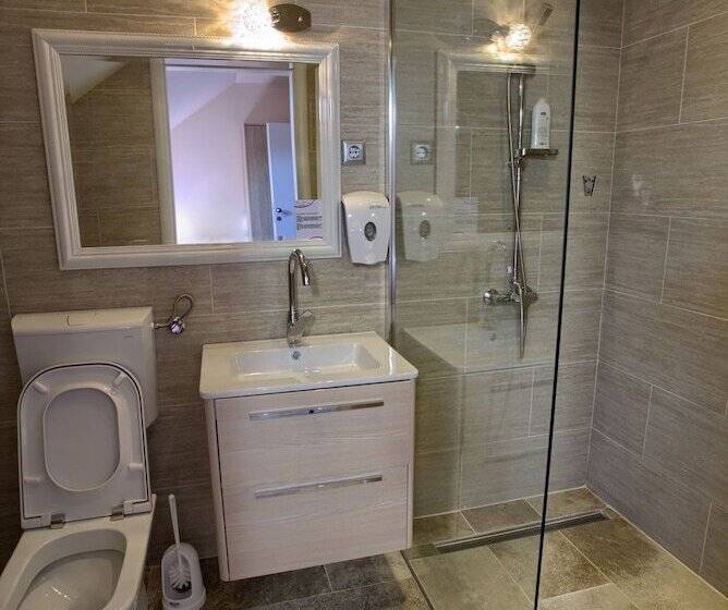 פנסיון Biser Dunava