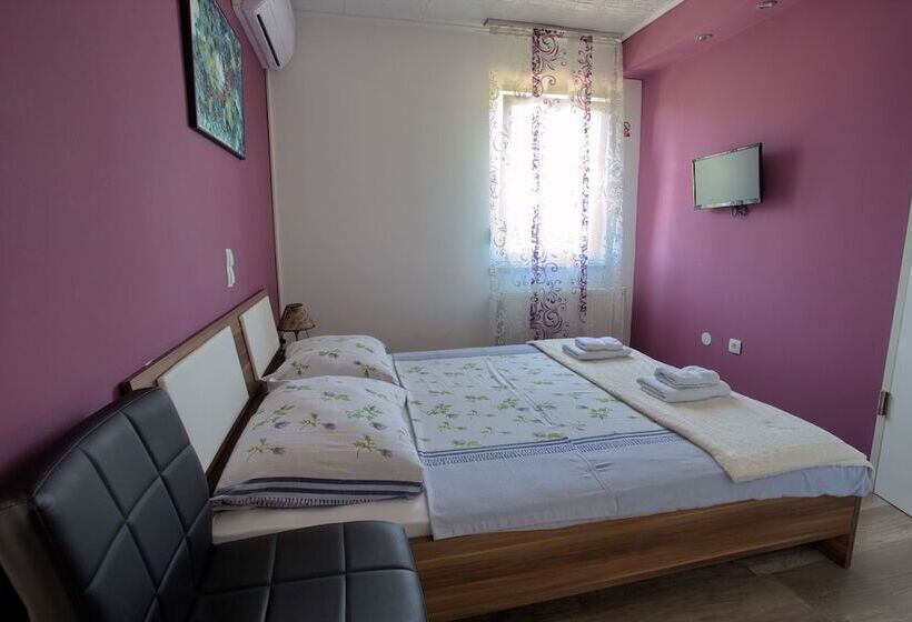 פנסיון Biser Dunava