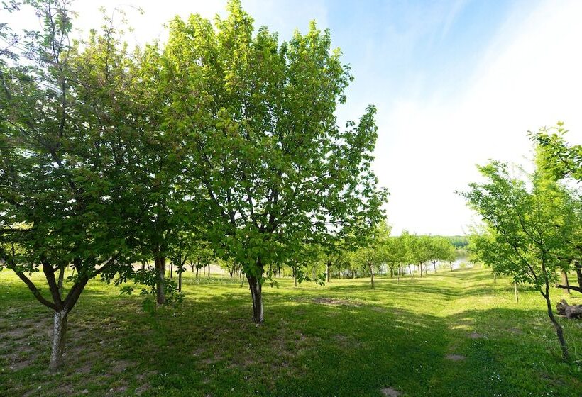 פנסיון Biser Dunava