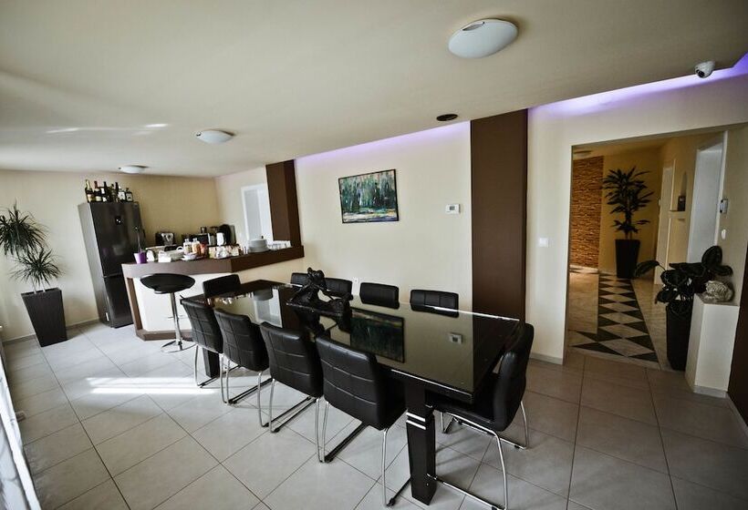 פנסיון Biser Dunava