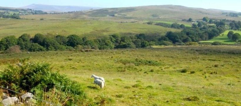 Пансион Nythfa House