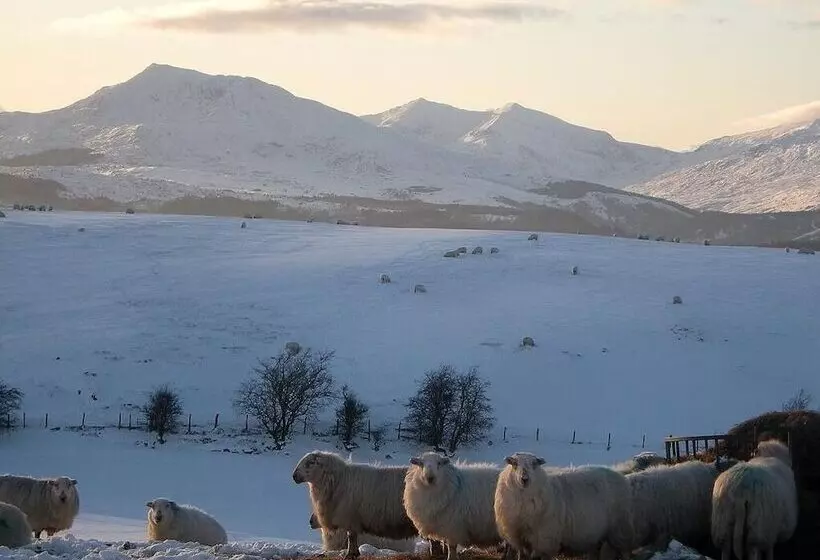 ベッドアンドブレックファースト Siabod Huts