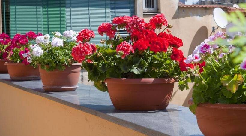 تختخواب و صبحانه Tetto Fiorito