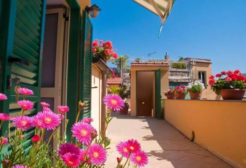 تختخواب و صبحانه Tetto Fiorito