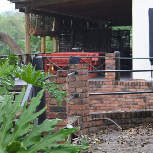 酒店 Letaba Junction Lodge