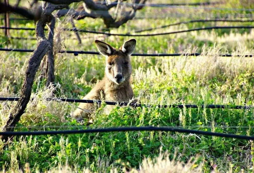 酒店 Manzanilla Ridge