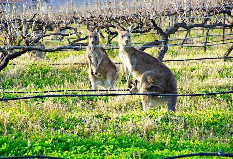 酒店 Manzanilla Ridge