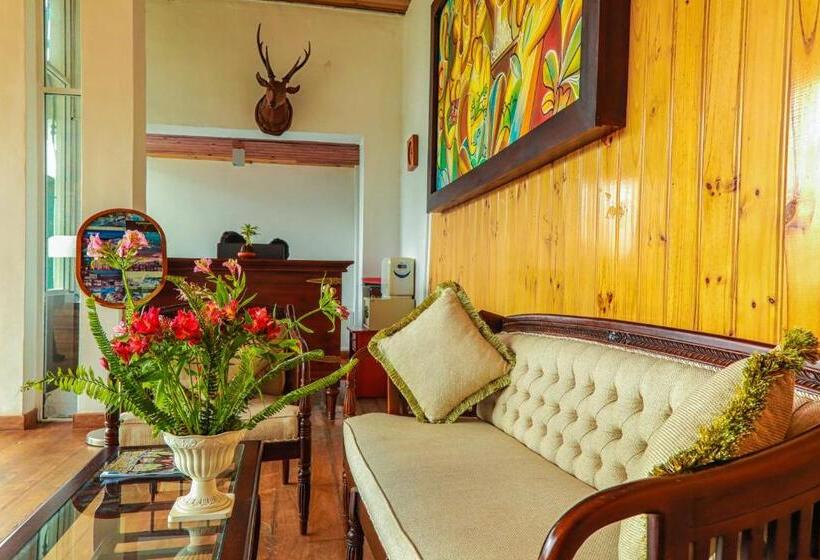 בית מלון כפרי Oakray Summer Hill Breeze