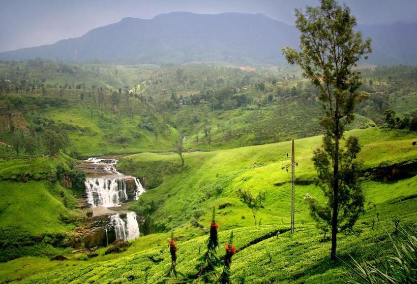 בית מלון כפרי Oakray Summer Hill Breeze